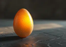 Vérifier la fraîcheur d’un œuf : astuces simples et rapides