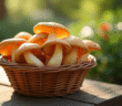 Champignons chanterelles fraîches dans un panier en osier