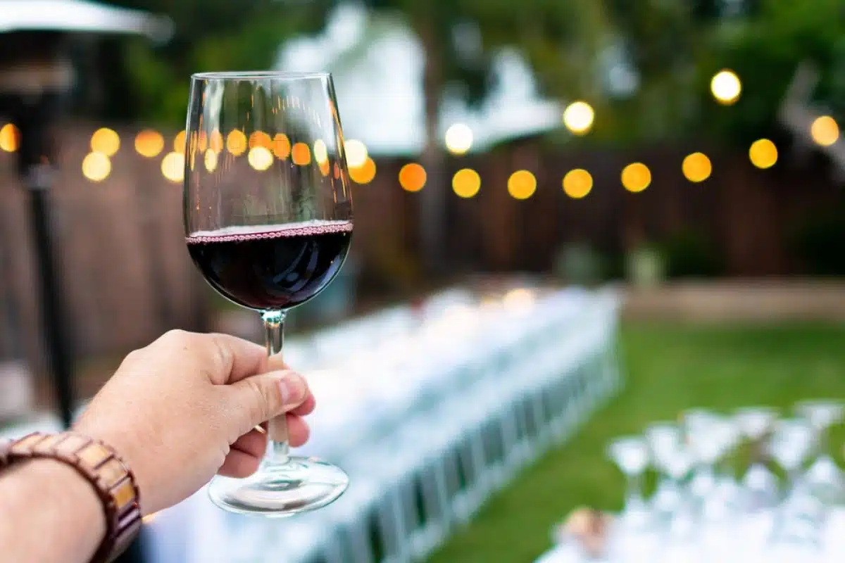  vin rouge et poisson grillé